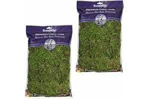 SuperMoss Forest Moss (2 Pack, 8oz) - Modern Garden Moss