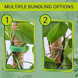 Yizerel Bendable Moss Pole 25 Inch 2 Pack for Monstera Creepers Plant Support view 5