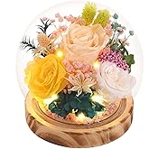 Vesbobo Eternal Rose Flowers, Unique Rose Preserved Flower Rose Gifts in Glass Dome for Women, Mom, Girlfriend,Home Decor Gifts for Birthday, Anniversary, Christmas, Wedding.