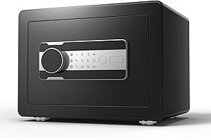 Reemoon Steel Security Safe Box with Electronic Keypad Lock, 0.8 Cubic Feet Home Safe Box for Secure Cash Jewelry Documents Valuables (Keypad lock)