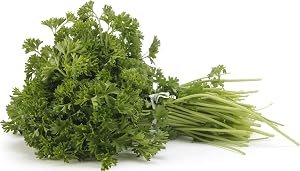Herb Parsley Curly Bunch Organic, 1 Each