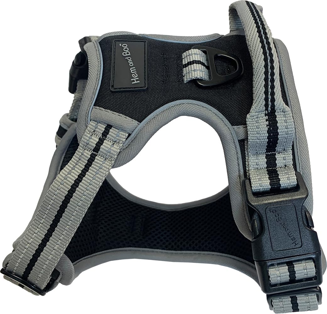 Dog & Co Sports Harness, Padded and Reflective, Black Extra Large