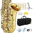 Eastar Professional Alto Saxophone Eb Gold Kit - With Cleaning Cloth, Carrying Case, Mouthpiece, Neck Strap, Reeds and Stand
