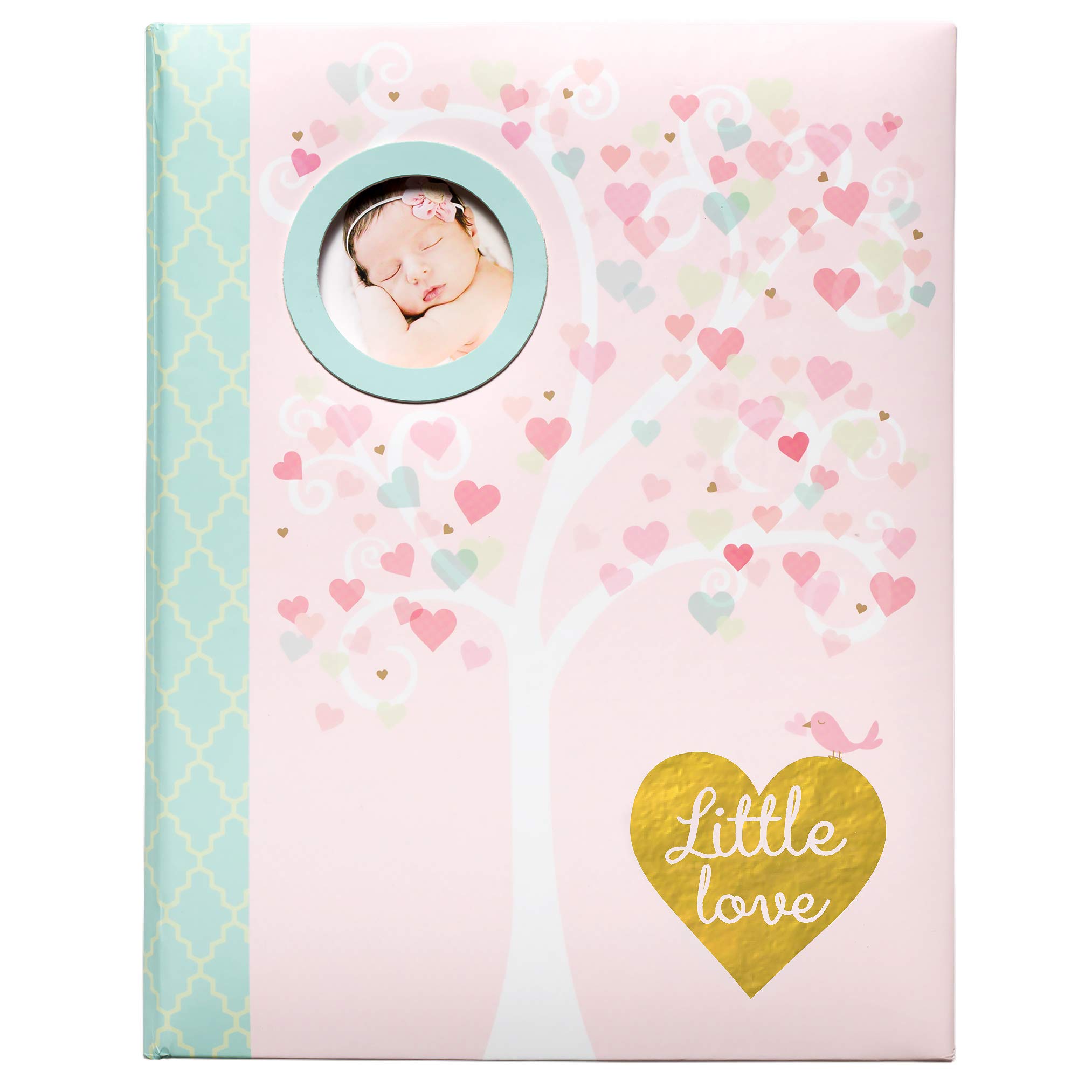 C R Gibson Pink Little Love Baby Girl Memory Book For Newborns 64 Pgs 9 W X 11 125 H Buy Online In Cayman Islands At Cayman Desertcart Com Productid