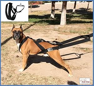 Dog weight pulling harness amazon Outlet