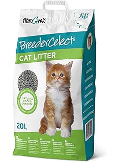 rose gold dog paw necklace