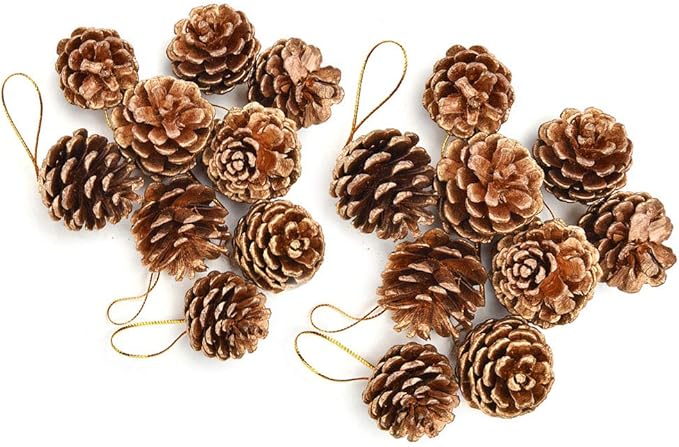 Decorazioni Natalizie Naturali.Decorazioni Natalizie Pigne 18 Pezzi Pigne Ornamenti Naturali Con Archi Feste Appesi Artigianato Colori Oro Argento Per La Decorazione Dell Albero Di Natale Pigne Di Natale Di 2 Dimensioni Style 1 Amazon It Casa E Cucina