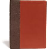 CSB Life Essentials Interactive Study Bible, Brown LeatherTouch, Black Letter, Study Commentary, Life Principles, QR Codes, Videos, Easy-to-Read Bible Serif Type