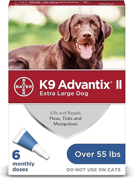 jellycat flamingo cordy roy