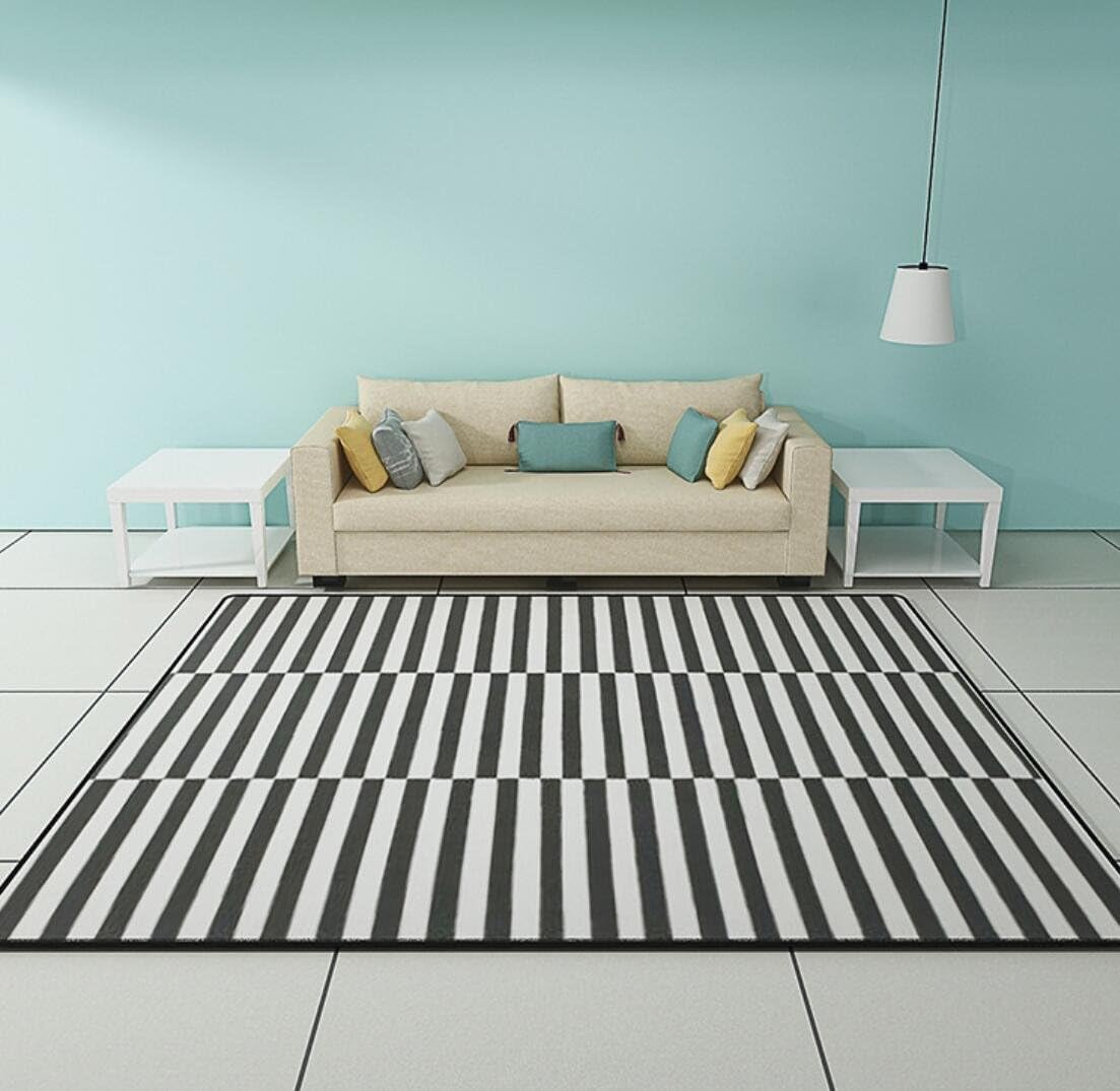 JIXIA Area Rugs Living Room Carpet Coffee Table Blanket Modern Rectangle Washable, 3, 40x60cm