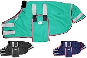 Derby Originals Reflective Safety No Hardware Winter Turnout Blanket for Foals & Mini Horses – 1200D Waterproof Ripstop, 150g Insulation, Triple Layer Breathable 210T Lining, 2 Year Warranty