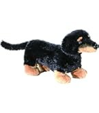 AURORA 犬のぬいぐるみ 大きめ AURORA 犬のぬいぐるみ 大きめ AURORA 犬のぬいぐるみ 大きめ Amazon