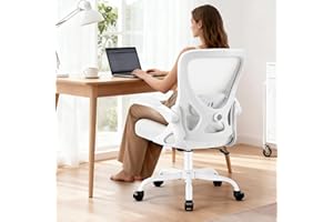 AreShark Office Chair - Ergonomic Breathable Mesh Desk Chair with Adjustable Lumbar Support and Flip-up Armrests - Executive 