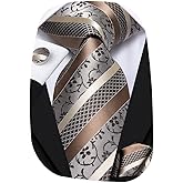 Hi-Tie Silk Paisley Ties for Men Necktie Pocket Square Cufflinks Set Foral Tie Sets Formal Business
