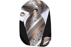 Hi-Tie Silk Paisley Ties for Men Necktie Pocket Square Cufflinks Set Foral Tie Sets Formal Business