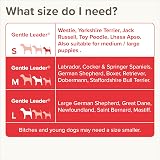 Beaphar Gentle Leader Head Collar for Small Dogs - Anti-Pull Training Aid - view 6