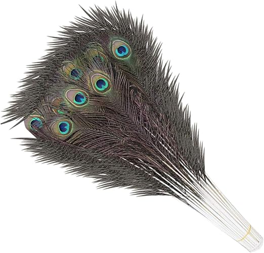 Trimming Shop Real Peacock Feather 27 Inches 31 Inches Bird Tail