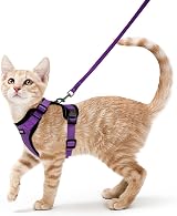 rabbitgoo Cat Harness and Lead Set XS Purple Reflective Escape Proof