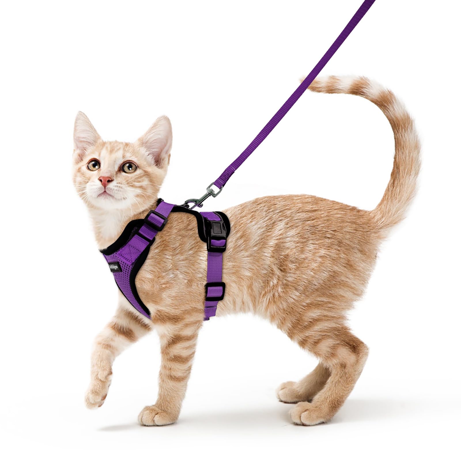 rabbitgoo Cat Harness and Lead Set, Escape Proof Kitten Harness with Leash, Metal Ring, Lightweight Soft, Reflective Adjustable Vest for Small Cat Walking Travel S (Pack of 1), Purple