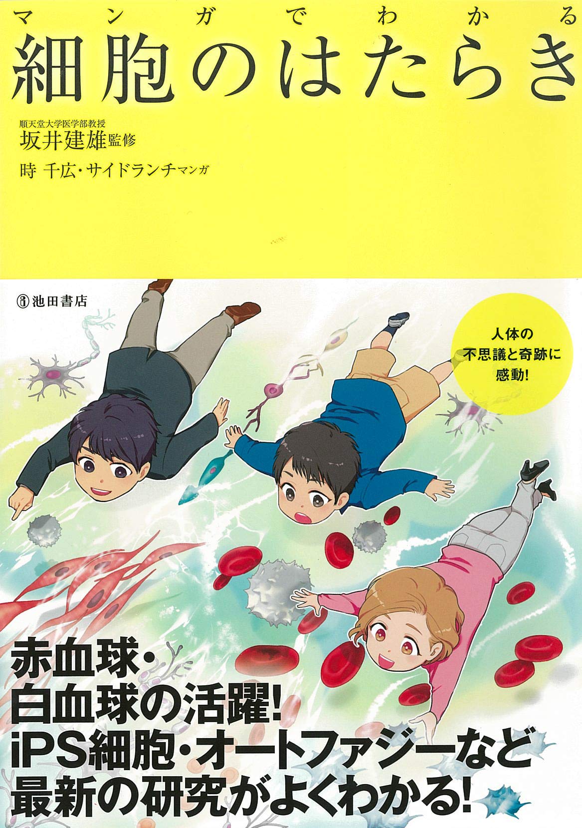 マンガでわかる 細胞のはたらき 坂井 建雄 時 千広 サイドランチ 本 通販 Amazon