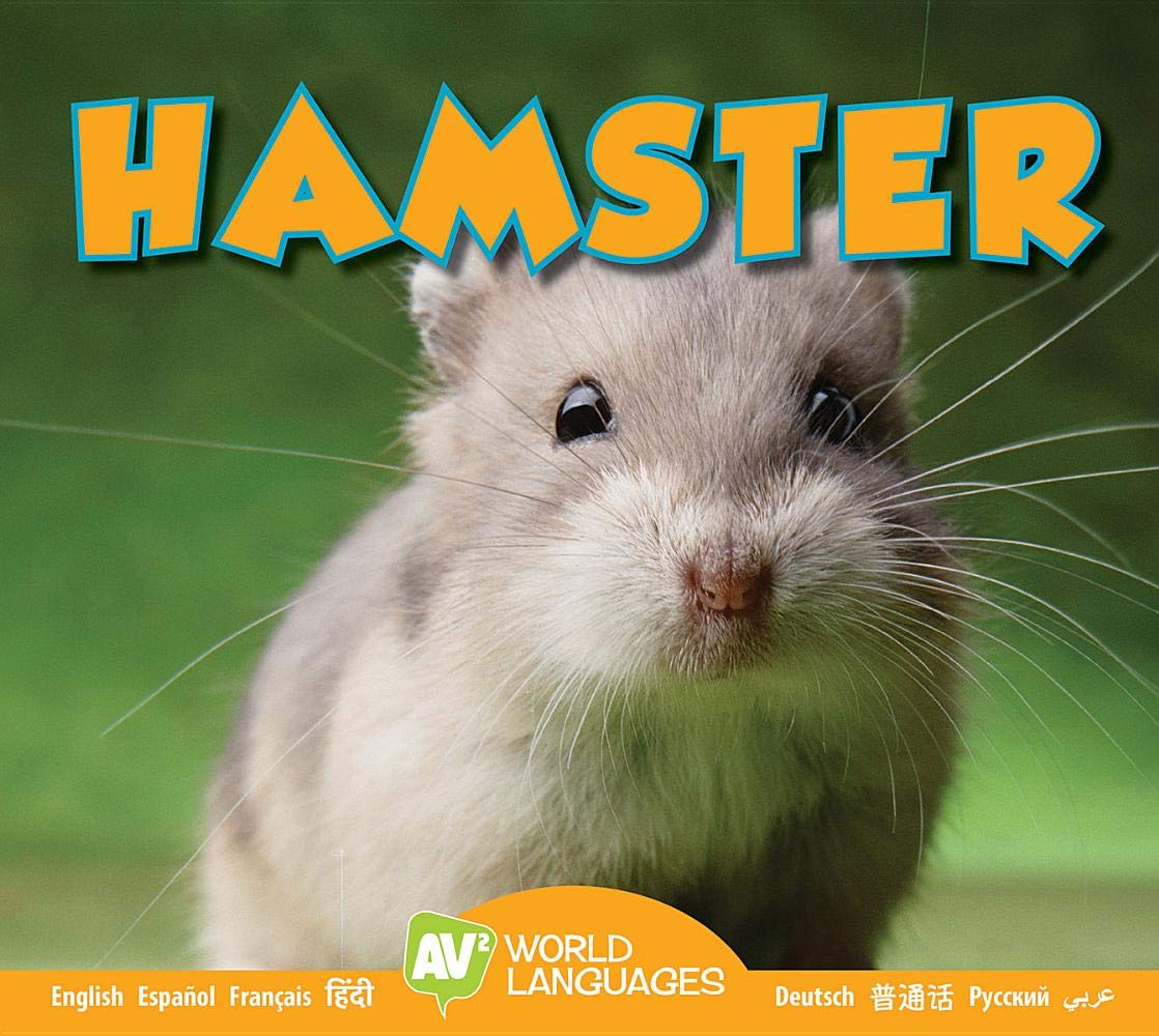 hamster world