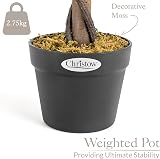 CHRISTOW Artificial Bay Tree In Pot 90cm 120cm Large Indoor Outdoor Topiary view 6