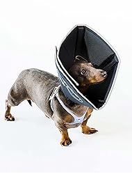 All Four Paws Comfy Cone Pet Cone for