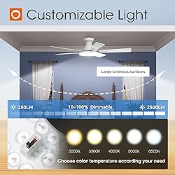 addlon Ceiling Fans with Lights, 52 inch Flush