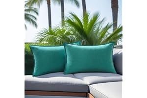 NASIGORENG Pack of 2 Waterproof Pillow Covers Decorative Outdoor Pillows Sofa Cushion Covers Garden Spring Pillowcase Couch Cushion Cases for Patio Balcony Tent Sunbrella Beach Deck 12x20 Inch Teal