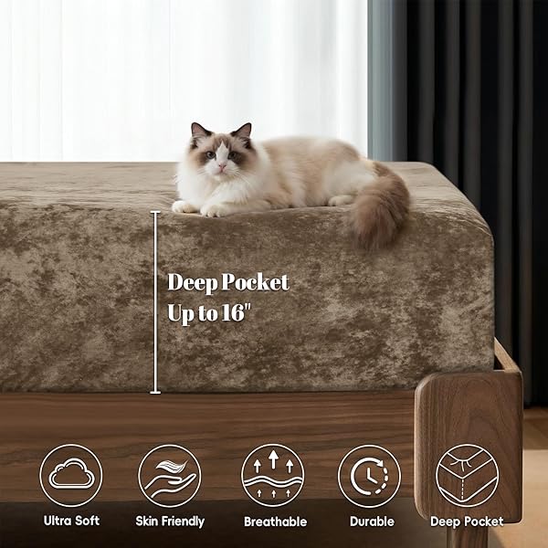 PHF TRULY VELVET FITTED SHEET ONLY KING SIZE, LUXURY SUPER SOFT COZY FUZZY FLEECE BOTTOM SHEET, DEEP POCKET UP TO 16″,STRENGHTH ELASTIC BAND,SUITABLE FOR FALL WINTER SPRING, NO PILLOWCASES, KHAKI
