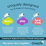 Coachi Whizzclick 2-in-1 Clicker and Whistle Training Aid with Reflective view 5