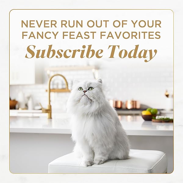 PURINA FANCY FEAST SAVORY CENTERS WET CAT FOOD PATE VARIETY PACK WITH CHICKEN, SALMON, BEEF, AND TUNA PATE WITH GRAVY CENTER – (2 PACKS OF 12) 3 OZ. PULL-TOP CANS
