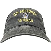 Don't Thread On Me D.T.O.M. US Air Force Veteran Dad Hat