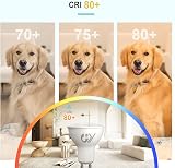 GY GU10 LED Bulb 4.9W 790lm 6500K Cool White Non-Dimmable 2 Pack view 5
