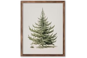 ZEARPT Christmas Tree Art Print, Vintage Fir Botanical Sketch, Christmas Tree Painting Print, Pine Tree Antique Print, Christmas Tree Wall Art