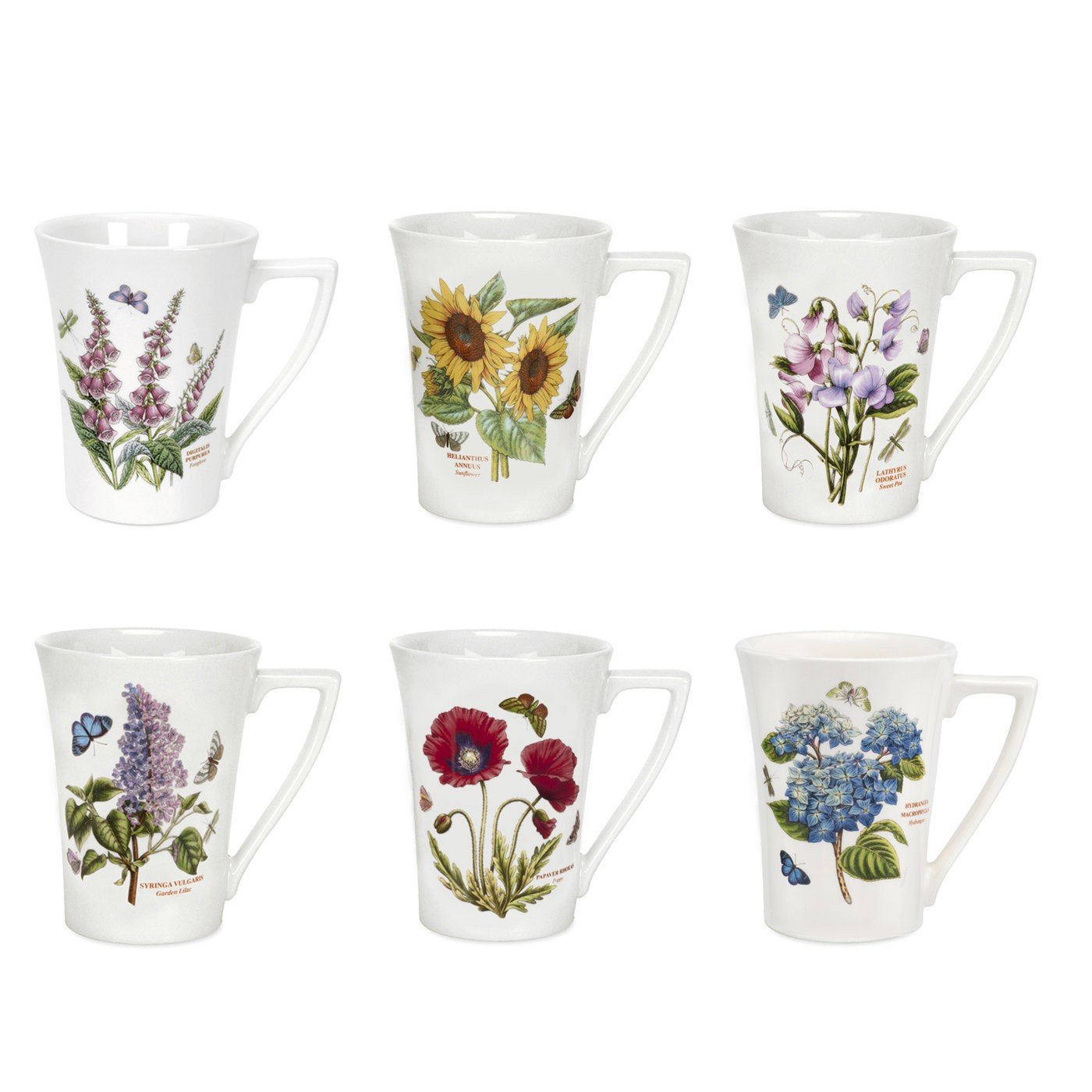 Portmerion Botanic Garden Mandarin Set of 6 Mugs 10oz