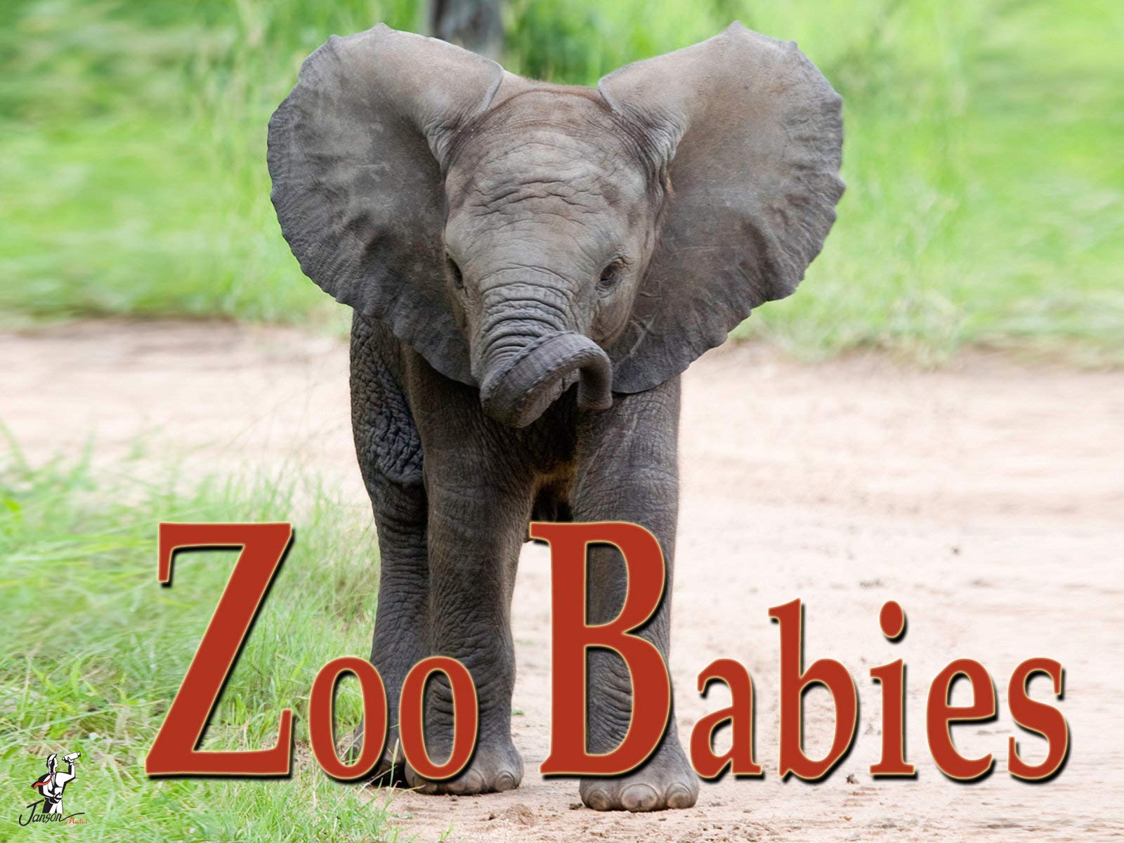 Watch Zoo Babies Prime Video