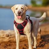 rabbitgoo Dog Harness Small No Pull Reflective Adjustable Vest with 2 Leash view 8
