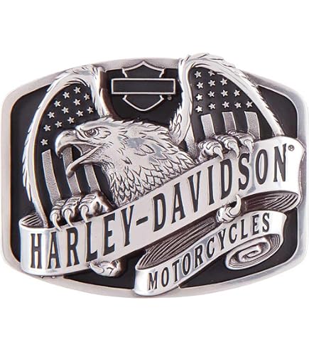 Amazon.com: Harley-Davidson Women's B&S Genuine Wings Belt Buckle