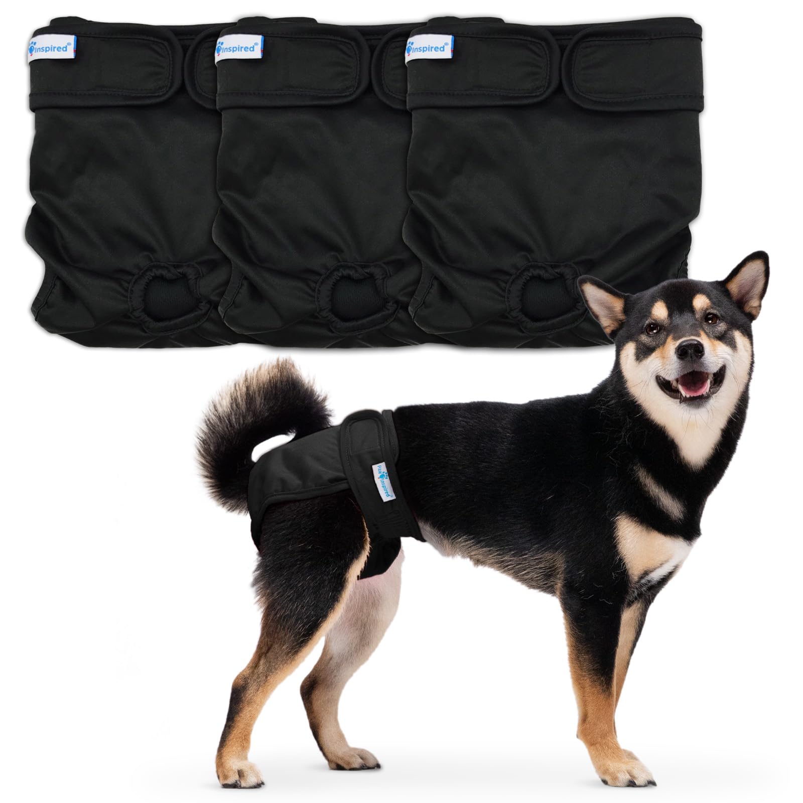 Photo 1 of Paw Inspired Washable Dog Diapers (3 Pack) | Reusable Cloth Doggy Diapers for Female Small, Medium, Large Size Dogs (Black with Black Lining, Size Medium)