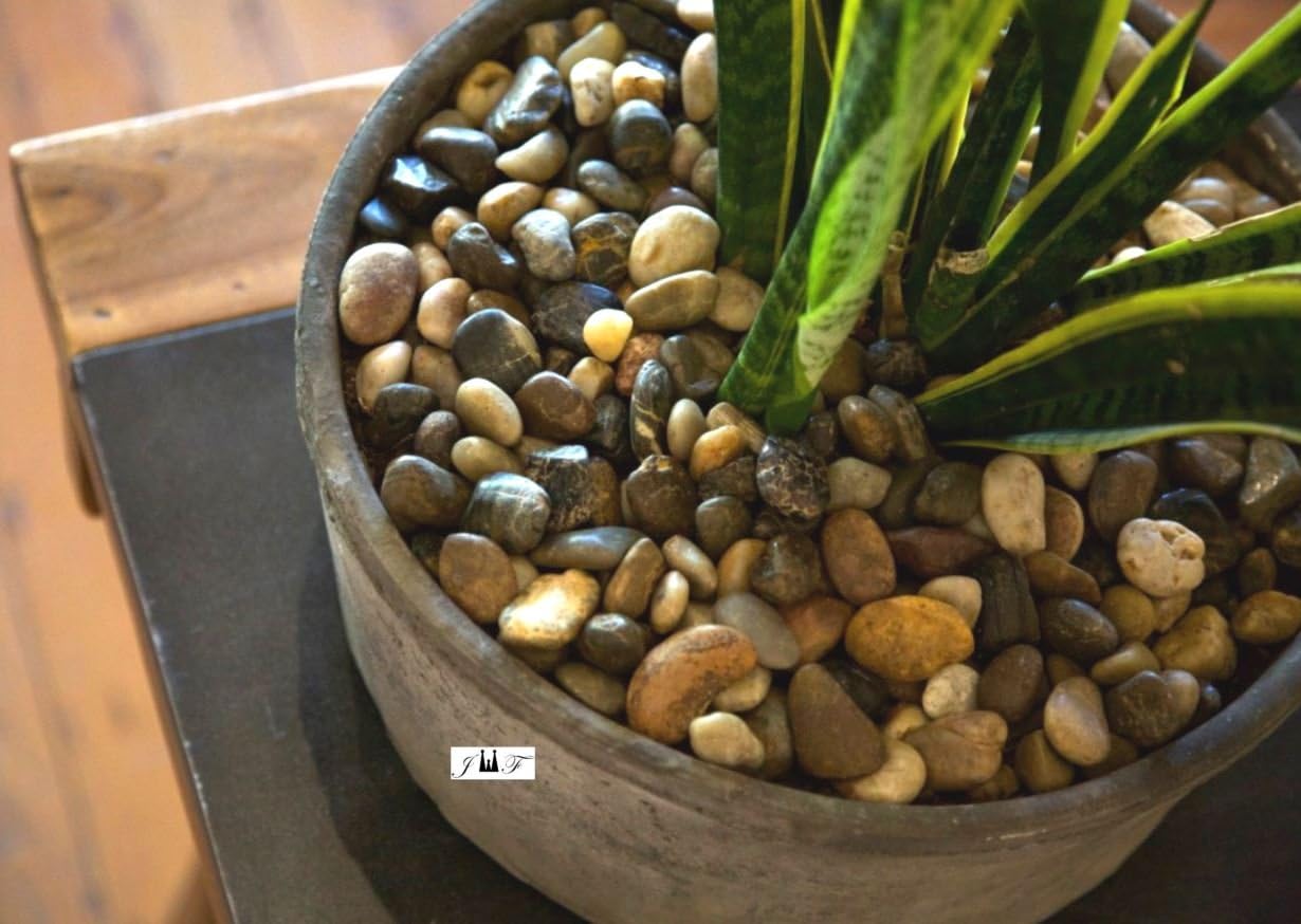 2 Pounds River Rock Stones - Natural Polished, Pebbles, Outdoor Decorative Stones, Natural Gravel, For Aquariums, Landscaping, Vase Fillers, Succulent, Tillandsia, Cactus pot, Terrarium Plants : Garden & Outdoor