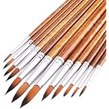 FENORKEY Artist Watercolor Paint Brushes, Round Pointed Tip Paint Brushes Set, 12pcs Different Sizes Detail Paint Brush for W