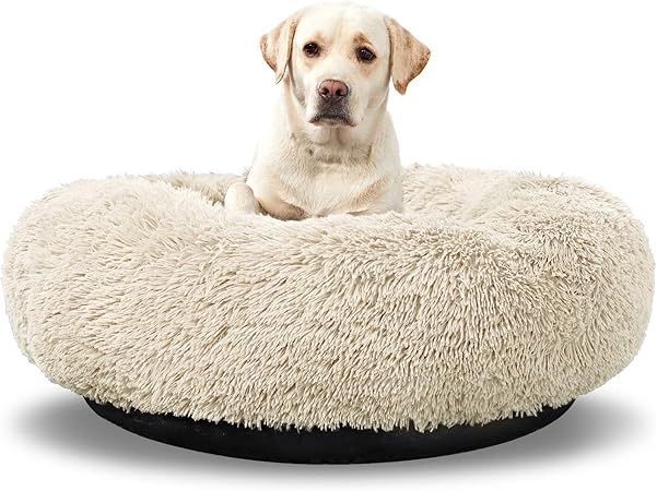 comfy dog beds for large dogs