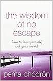 The Wisdom of No Escape: How to Love Yourself and Your World