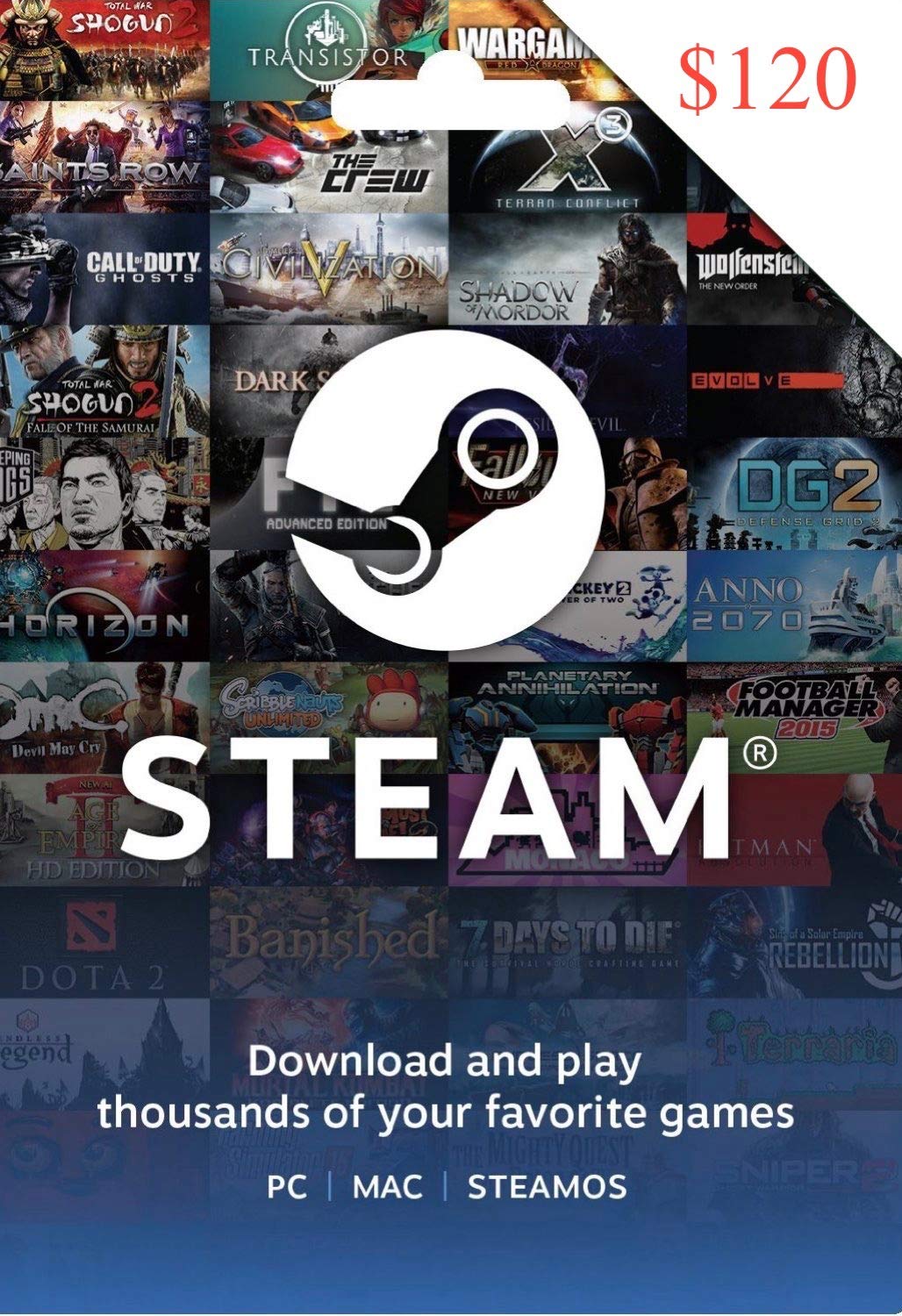 Amazon Com Steam Gift Card 120 Video Games