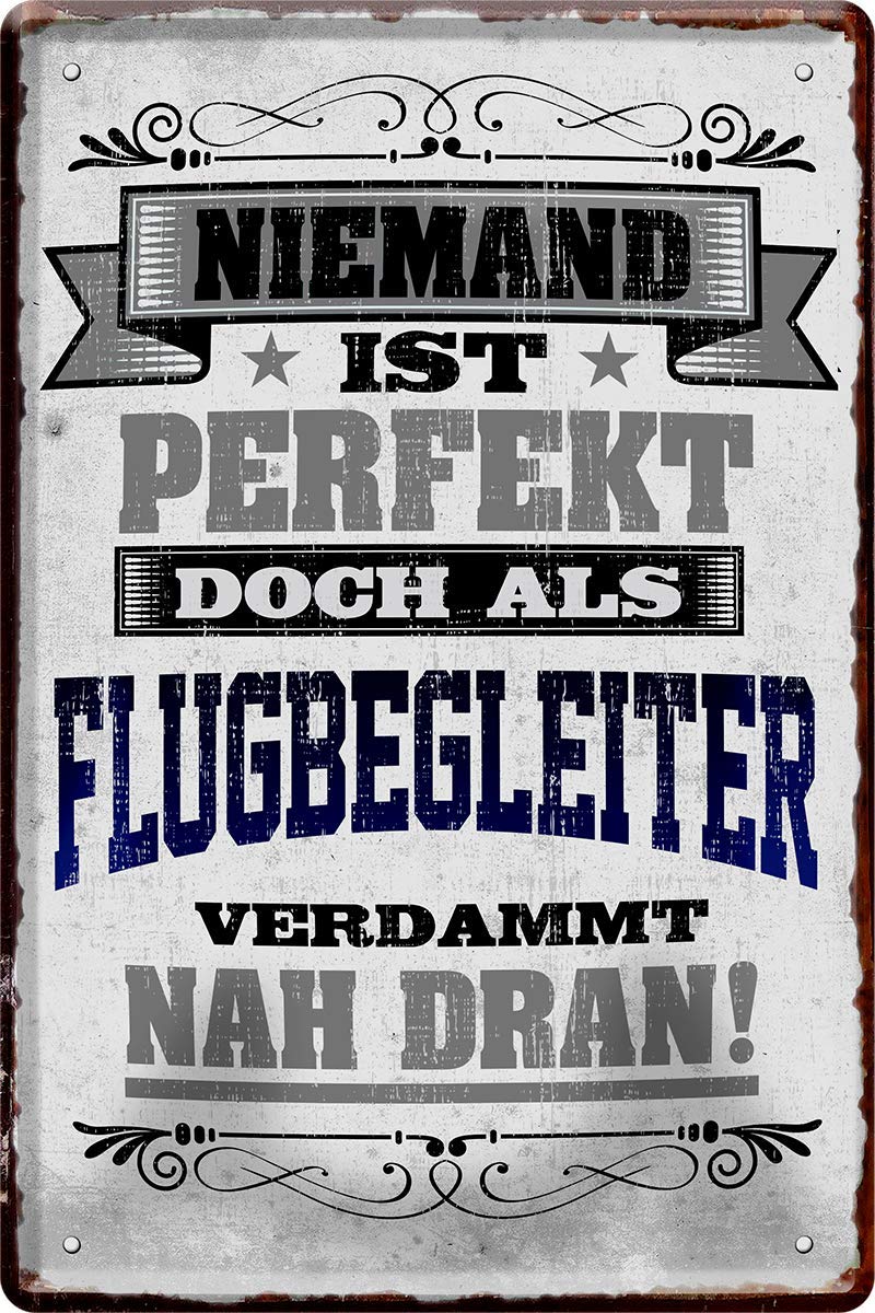 Nobody is perfect but as a flight companion 20 x 30 cm work decorative tin sign 828