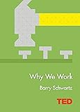 Why We Work (TED)
