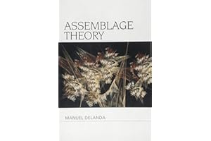 Assemblage Theory