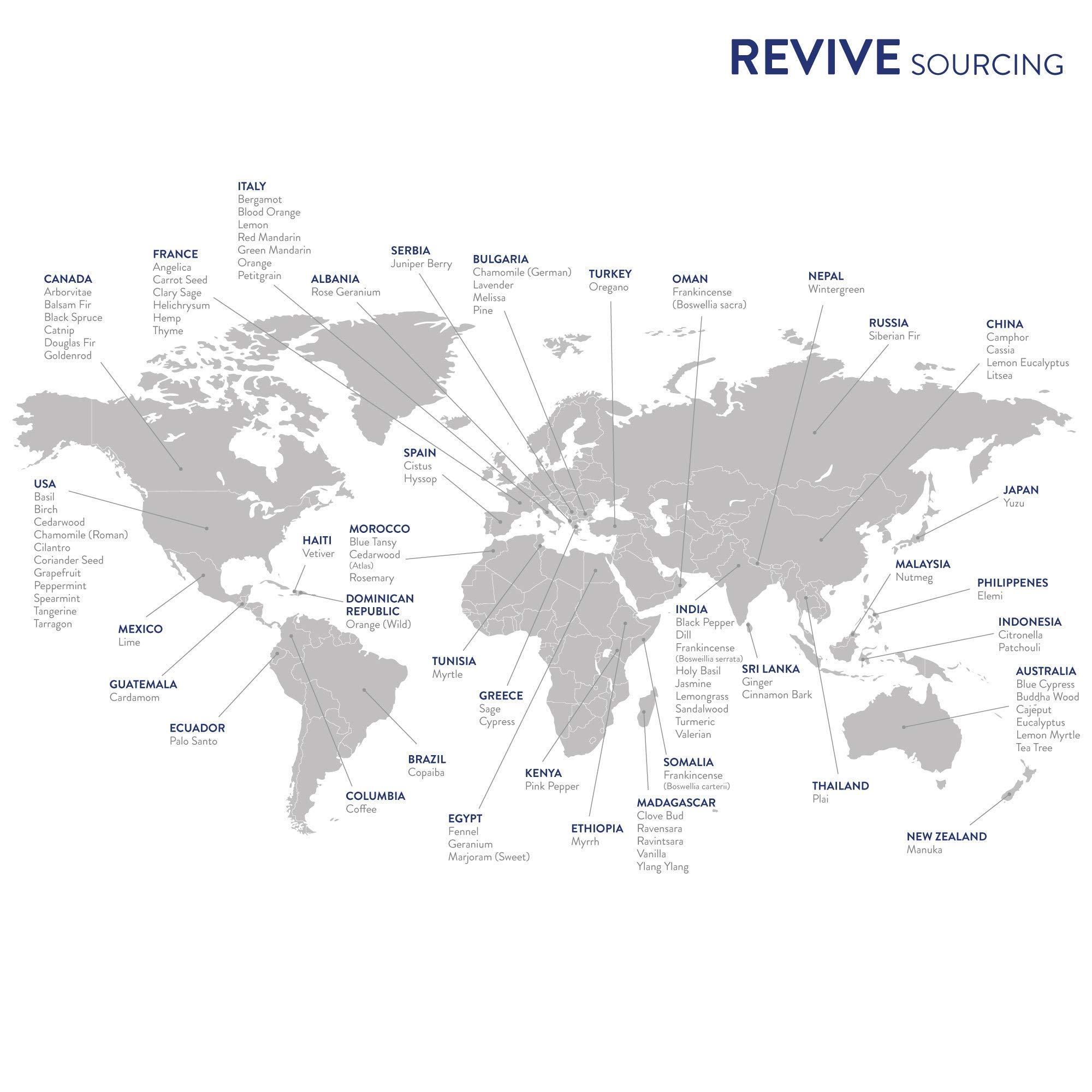 Immunity Boost Essential Oil Blend 30mL by Revive Essential Oils - 100% Pure Therapeutic Grade, for Diffuser, Humidifier, Massage, Aromatherapy, Skin & Hair Care - Image 7