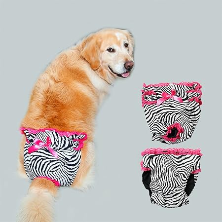 extra large dog diapers